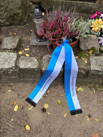 Ein Bild, das Gelnde, drauen, Pflanze, Blume enthlt.