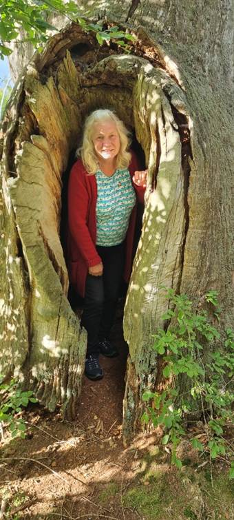 Ein Bild, das Baum, drauen, Kleidung, Hhle enthlt.

KI-generierte Inhalte knnen fehlerhaft sein.