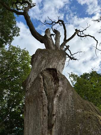Ein Bild, das drauen, Kleidung, Person, Schuhwerk enthlt.