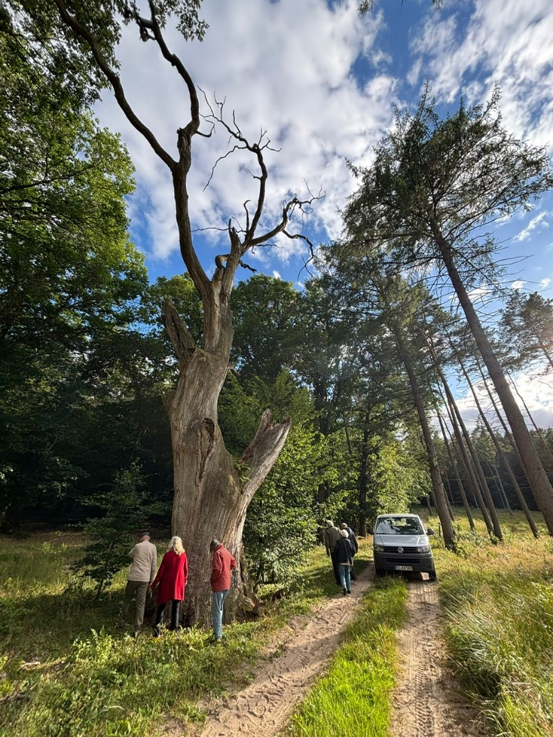 Ein Bild, das drauen, Wolke, Himmel, Wasser enthlt.
