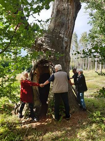 Ein Bild, das drauen, Kleidung, Person, Menschliches Gesicht enthlt.