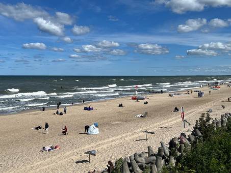 Ein Bild, das drauen, Text, Pflanze, Grab enthlt.