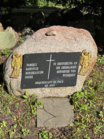 Ein Bild, das drauen, Gras, Gebude, Pflanze enthlt.