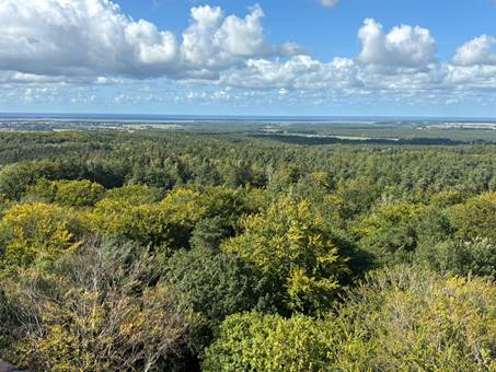 Ein Bild, das drauen, Gebude, Baum, Himmel enthlt.