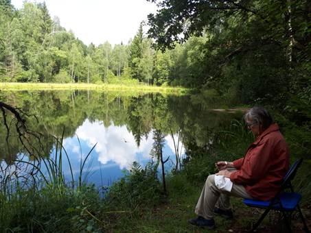 Ein Bild, das drauen, Baum, Person, Gras enthlt.